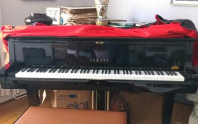 Pianos, creativity, and economics