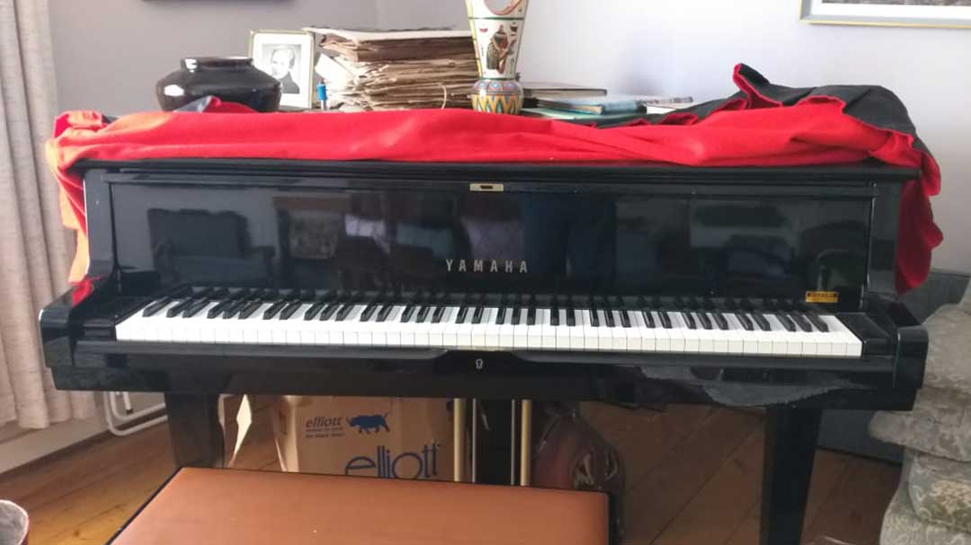 Pianos, creativity, and economics